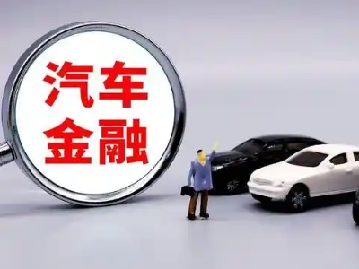 兵团押车贷款不是本人可以么?